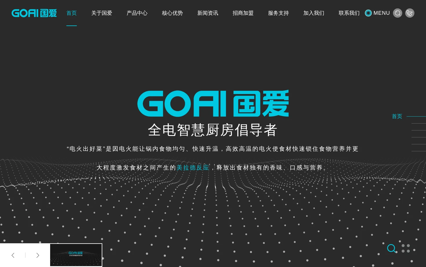 国爱GOAI 页面快照